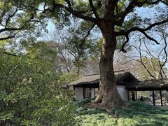 -惠山古镇·寄畅园