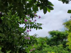 -怡海公园(桂城街道)