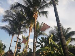 -西双版纳傣族园