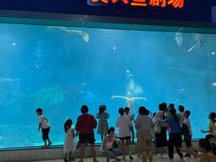 -福州罗源湾海洋世界旅游区