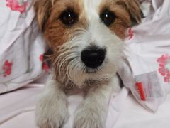 -阿莉餐厅(枣阳路店)