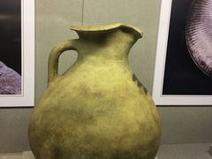 -北京大学赛克勒考古与艺术博物馆