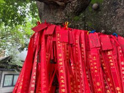 -莲生母婴月子中心(清水河公园店)