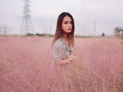 -王借岗森林公园
