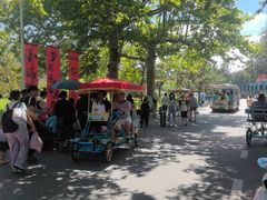 -日照海滨国家森林公园