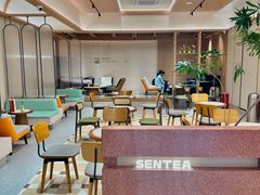 -森茶(湛江万达店)