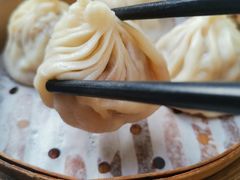 无锡小笼包-二泉园老菜馆·百年无锡菜