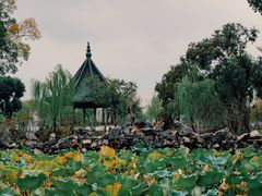 -无锡蠡湖国家湿地公园-蠡园
