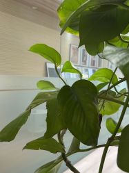 -27°罗马风情婚纱摄影