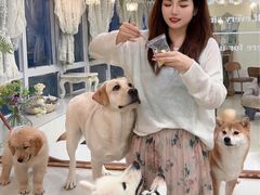 -共舞时光猫咖·狗咖(新街口店)