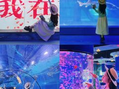 -重庆欢乐海底世界