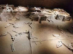 -洛阳周王城天子驾六博物馆