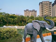 -碧桂园润杨溪谷温泉酒店