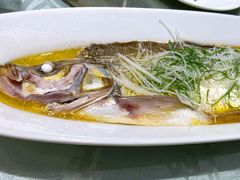 清蒸太湖白鱼-金枝玉叶上海人家食府(三里河店)