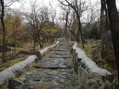 -阳台山自然风景区