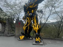 -重庆武隆天生三桥风景区-神鹰天坑