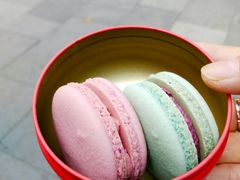 -麦雪尔甜品·生日蛋糕(新街口旗舰店)