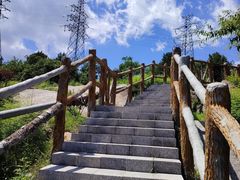 -白水寺森林公园