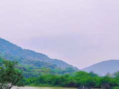 -风云岭森林公园