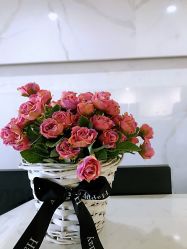 -痘研专业皮肤管理中心