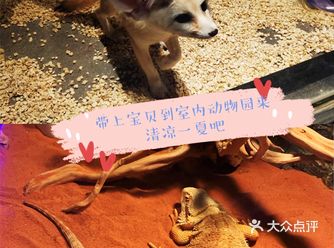 带上宝贝来室内动物园清凉过夏天吧