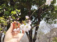 -南溪山景区