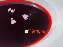 -九鼎轩脆毛肚火锅(三钢里店)