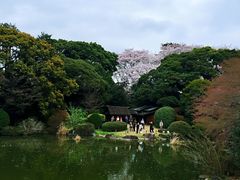 -东京国立博物馆