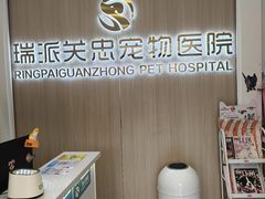 -瑞派·关忠动物医院·猫专科·犬专科(三环新城店)