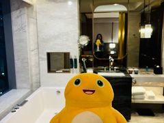 -上海虹桥祥源希尔顿酒店