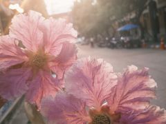 -宁曼路
