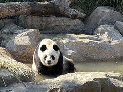 -宁波野生动物园