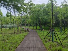 -嘉北郊野公园