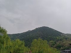 -福顺祥大盘鸡(临潼店)