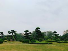 -南宁南湖公园