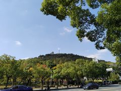 -上海佘山国家森林公园西佘山园