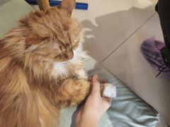 -平行世界·猫咖(首经贸店)