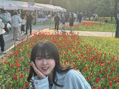 -长春公园(普阳街道)