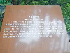 -金鸡山公园