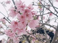 -宝墨园景区