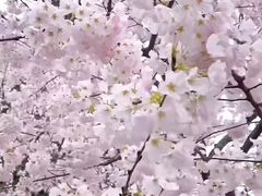-黄兴公园