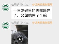 -派美特宠物医院·核磁CT·骨科肿瘤·疑难转诊(沈农禾丰店)