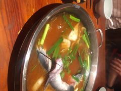 -新凯里酸汤鱼(飞山街店)