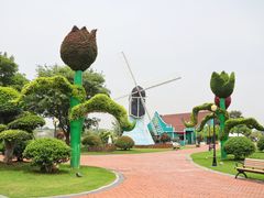 -荷兰花海