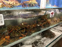-超级物种·波龙工坊(国贸店)