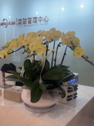 -杭州米兰柏羽医疗美容医院