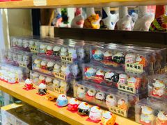 -猫咪博物馆(顶澳仔猫街店)