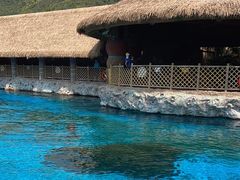 -珠海长隆海洋王国