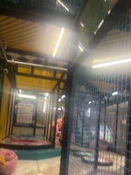 -meland亲子乐园•派对•研学(宁波华润万象城店)