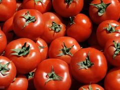 蕃茄-杭州登云路农贸市场(胜月院店)